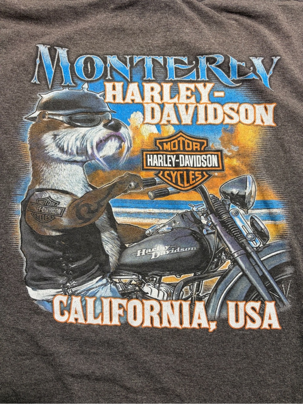 Harley-Davidson Monterey California Graphic T-Shirt - Charcoal